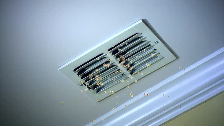 Best HVAC System Cleaning  in Ocklawaha, FL