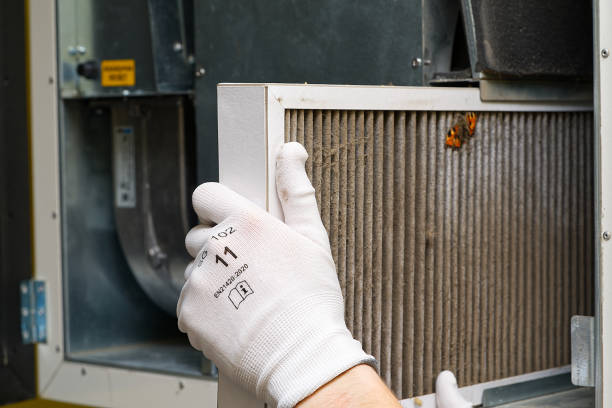Best HVAC Maintenance and Cleaning  in Ocklawaha, FL