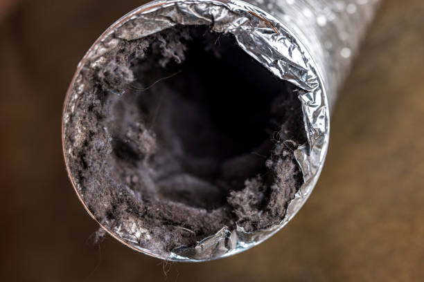 Best Affordable Air Duct Cleaning  in Ocklawaha, FL