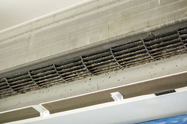 Best Affordable HVAC Duct Cleaning  in Ocklawaha, FL